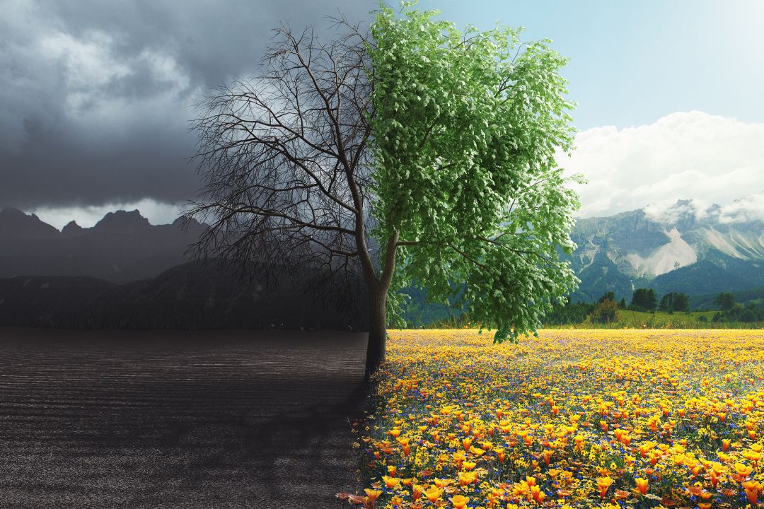 person meditating abundance mindset money transformation